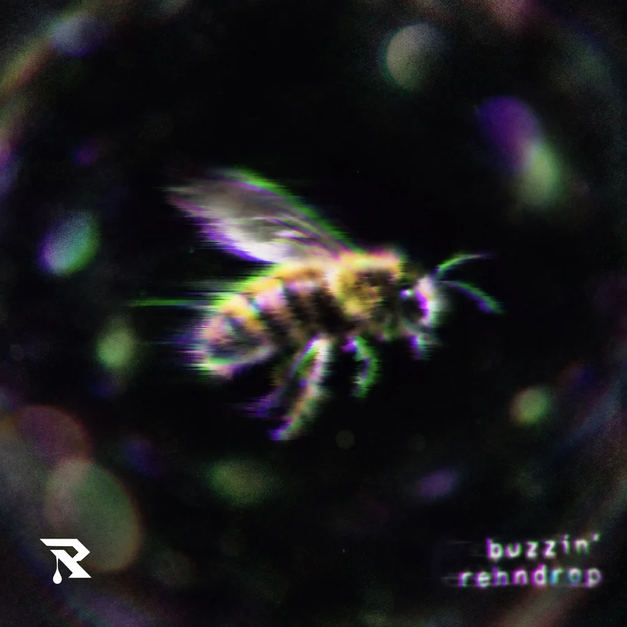 buzzin' cover